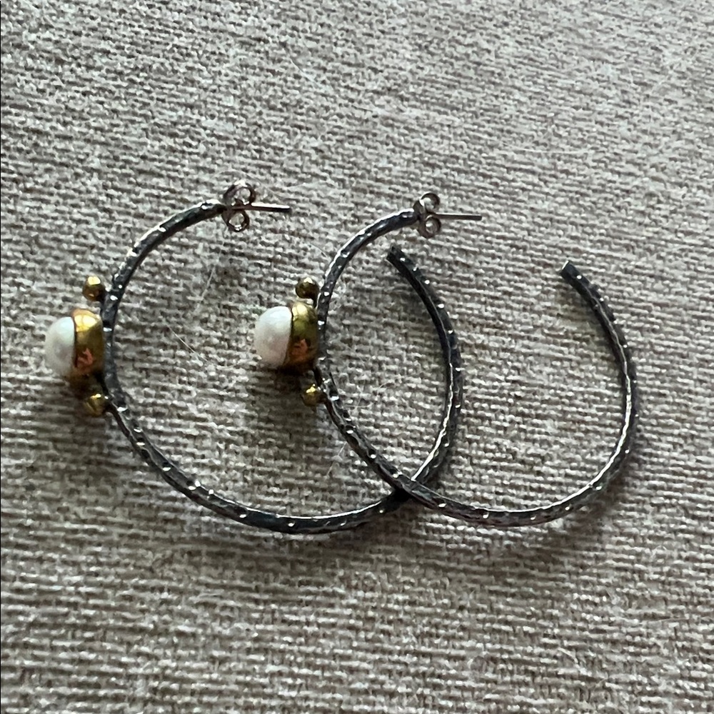 Elegant Silver and Gold Hoop Earrings